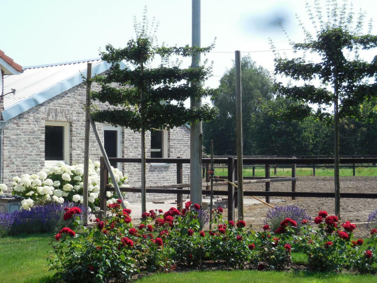 B&B  De 7 Sprong Sevenum Exterior foto